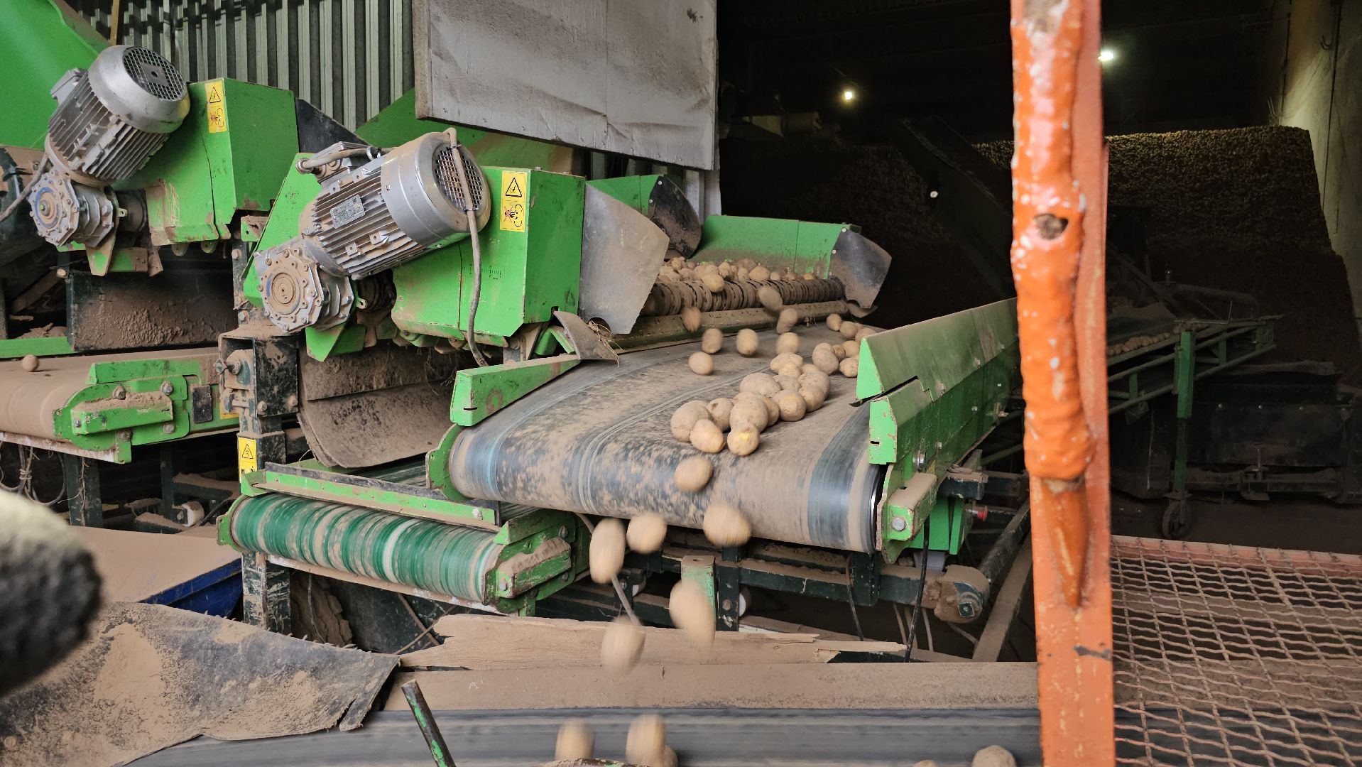 Луховицы, сельское хозяйство,