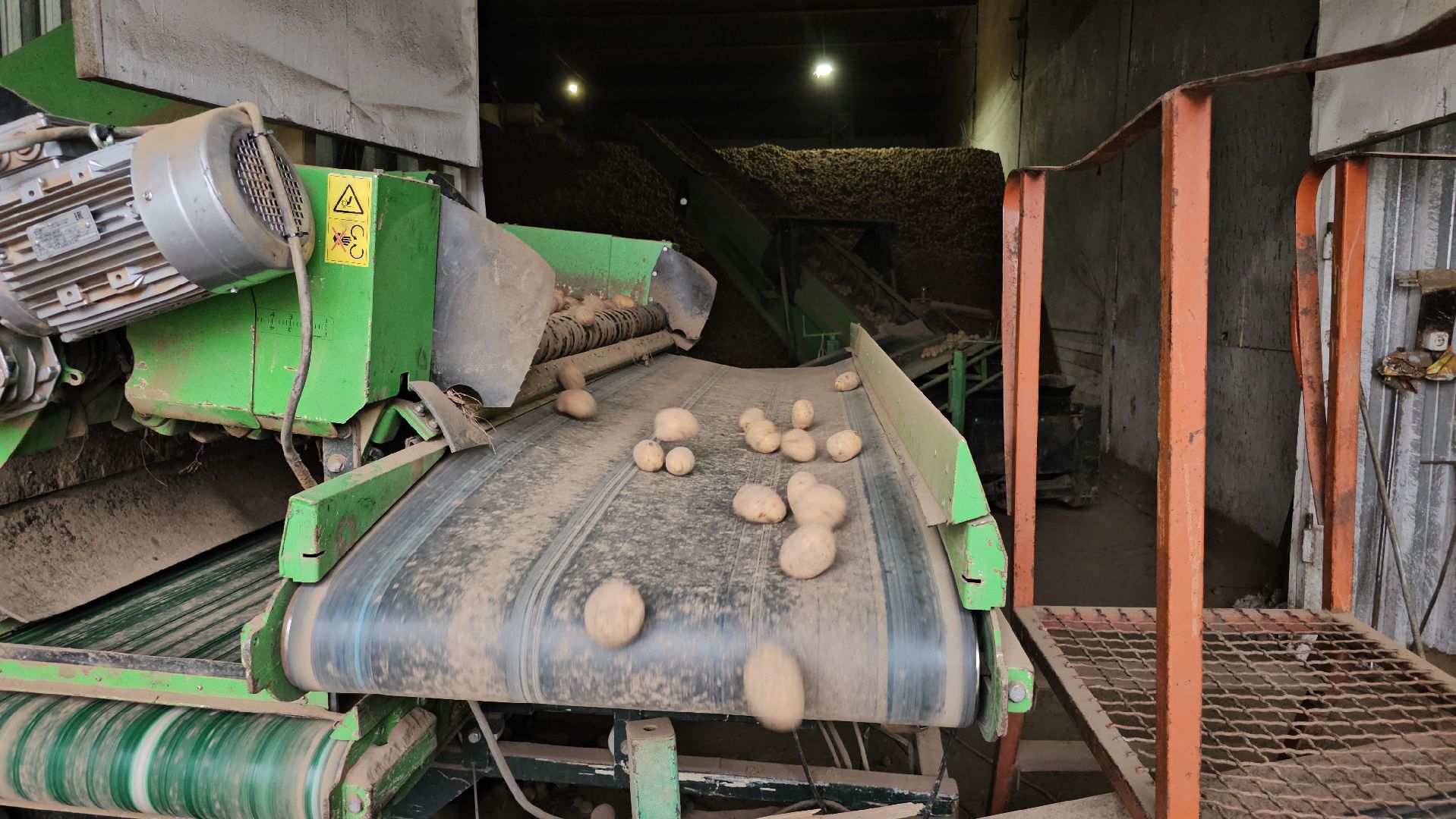 Луховицы, сельское хозяйство,