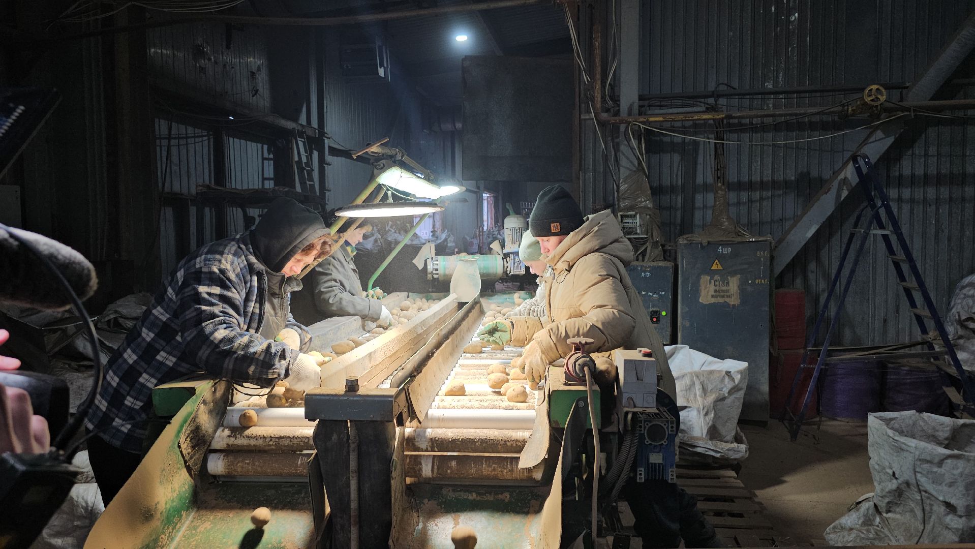 Луховицы, сельское хозяйство,