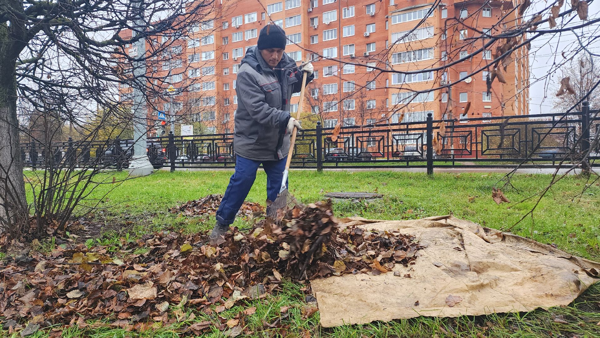 Домодедово, Подмосковье, комбинат благоустройства, коммунальная служба, коммунальная техника, коммунальное хозяйство, уборка дворов, Уборка листвы,