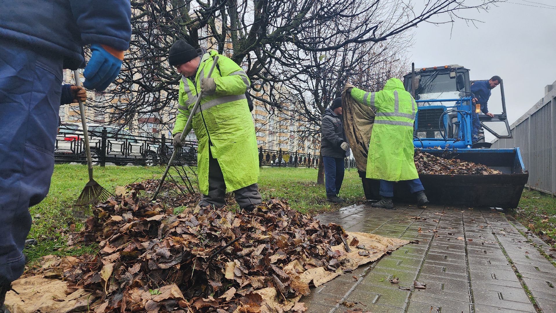 Домодедово, Подмосковье, комбинат благоустройства, коммунальная служба, коммунальная техника, коммунальное хозяйство, уборка дворов, Уборка листвы,