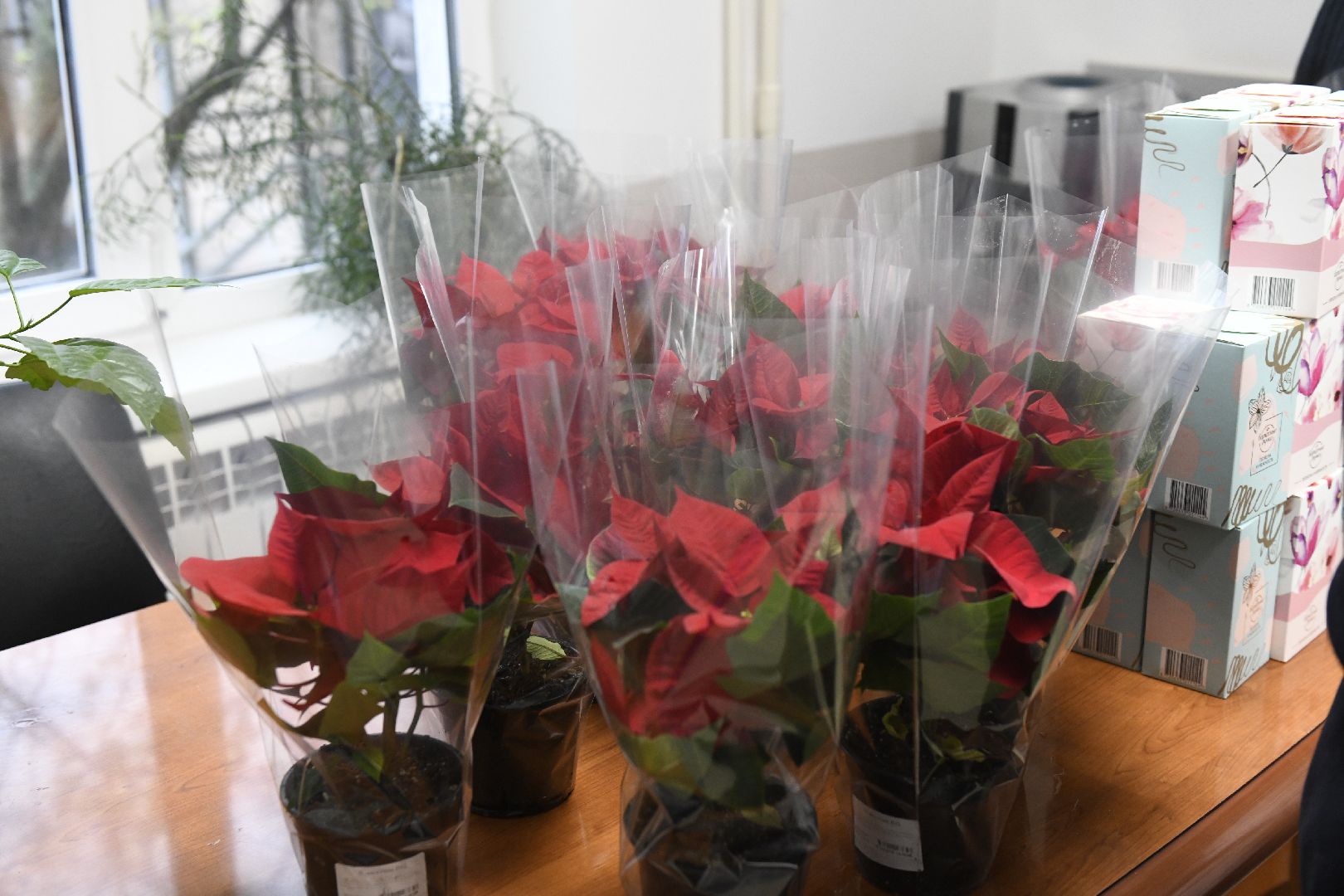 лыткарино, медицина, день педиатра,