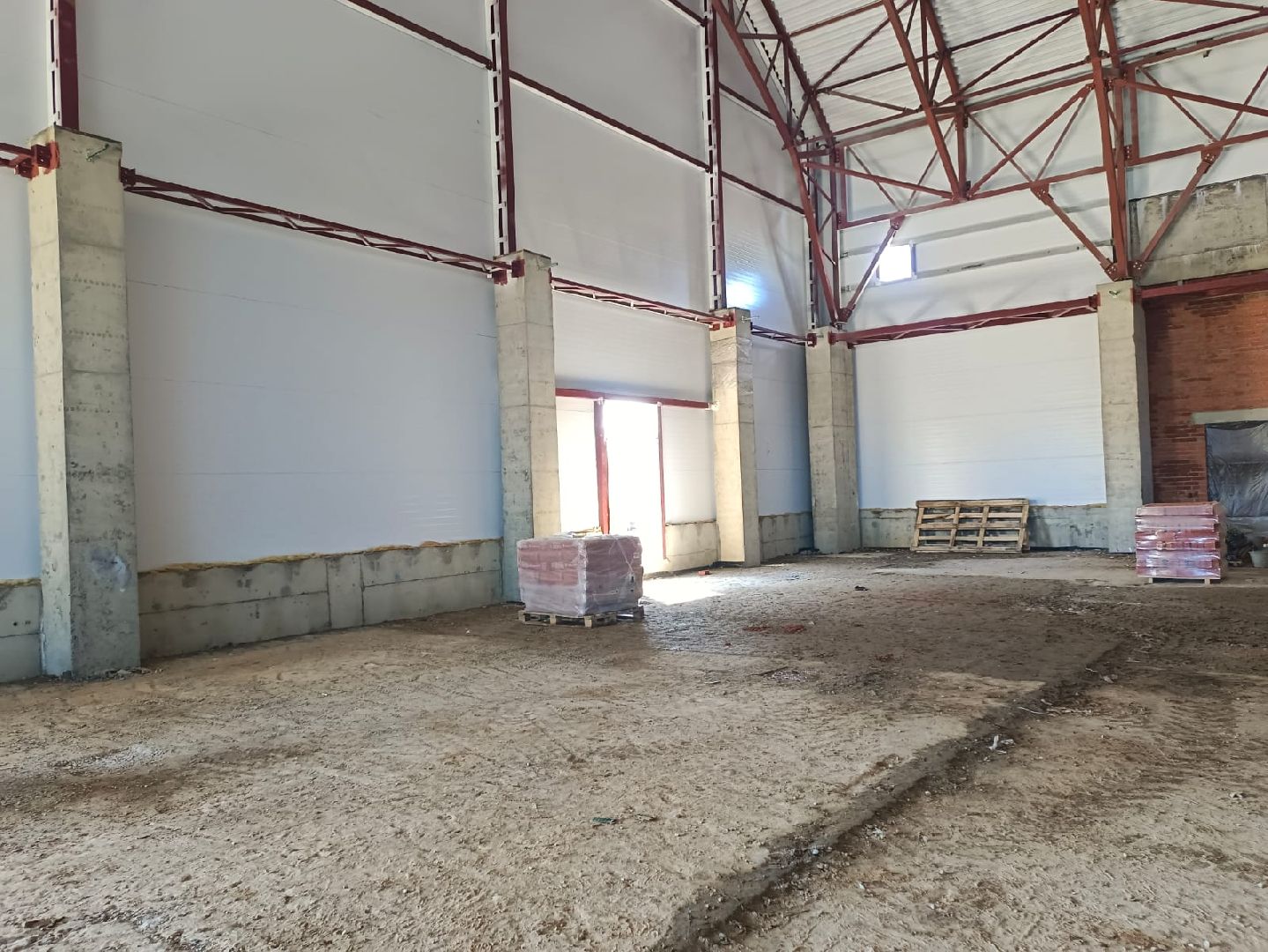 Спорт, ледовый дворец, строительство