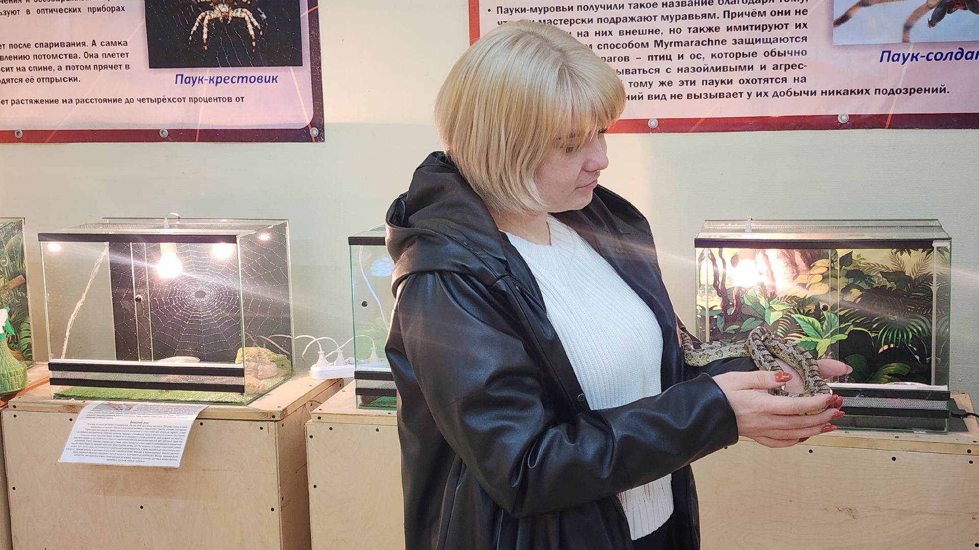 Звенигород, Общество, Выставка пауков и рептилий, вертикалка, вертикальное видео,