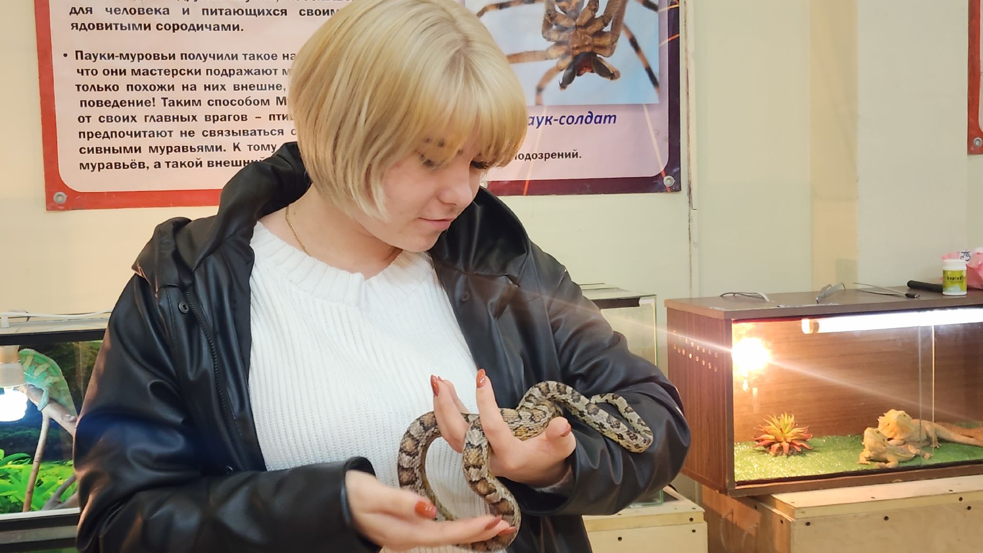 Звенигород, Общество, Выставка пауков и рептилий, вертикалка, вертикальное видео,