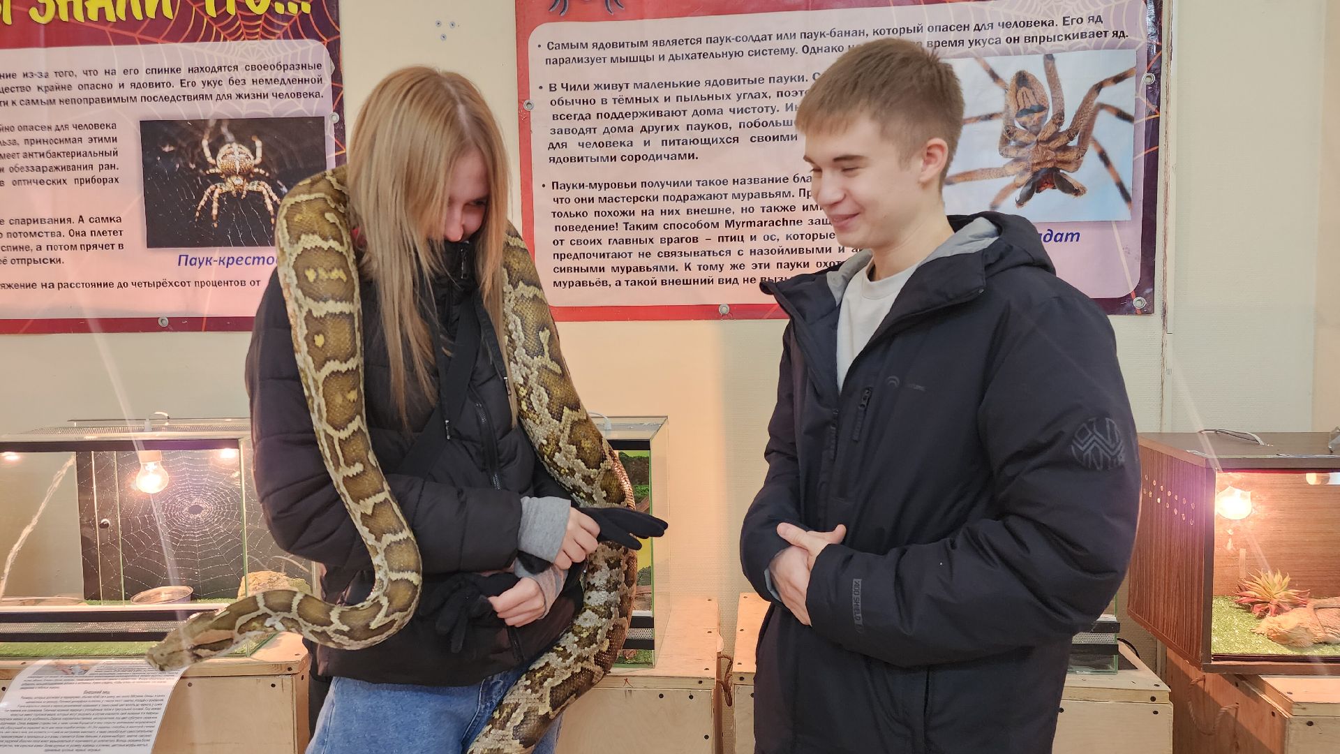 Звенигород, Общество, Выставка пауков и рептилий, вертикалка, вертикальное видео,