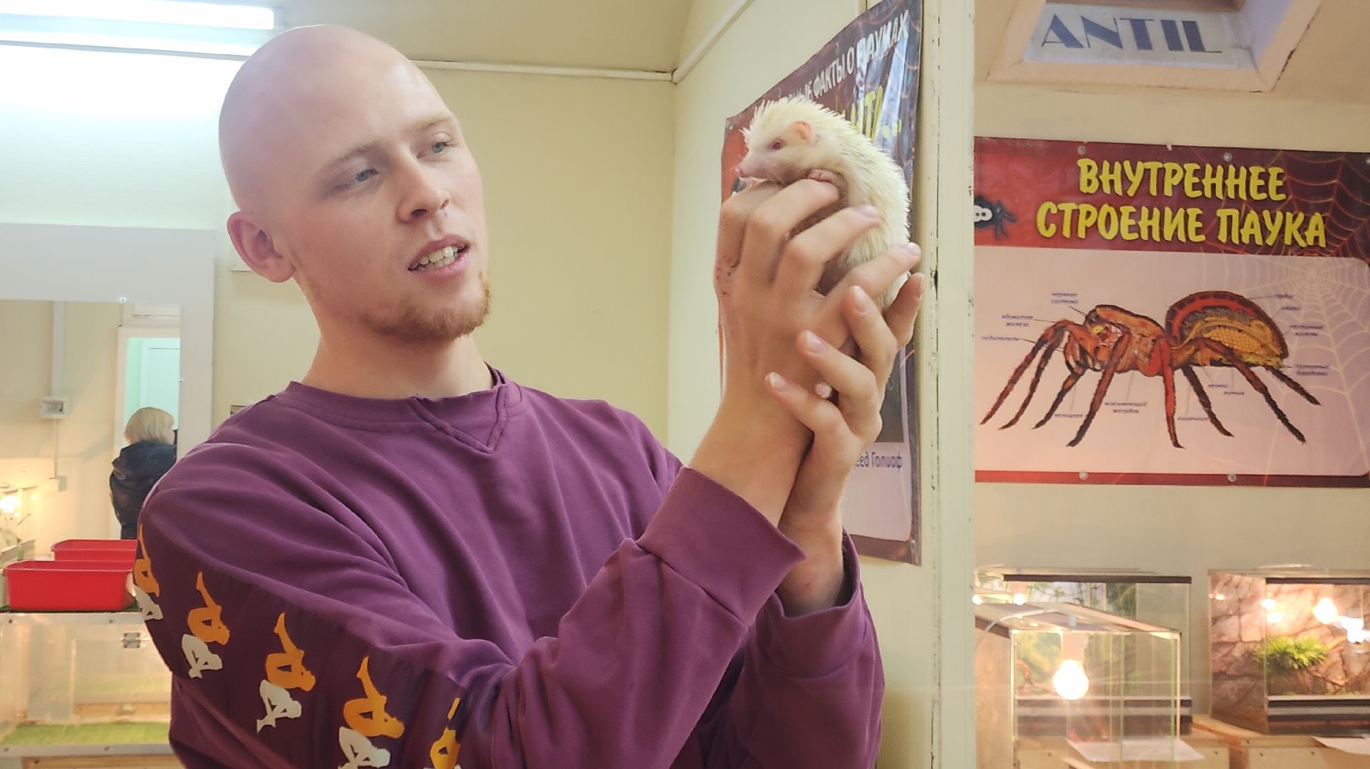 Звенигород, Общество, Выставка пауков и рептилий, вертикалка, вертикальное видео,