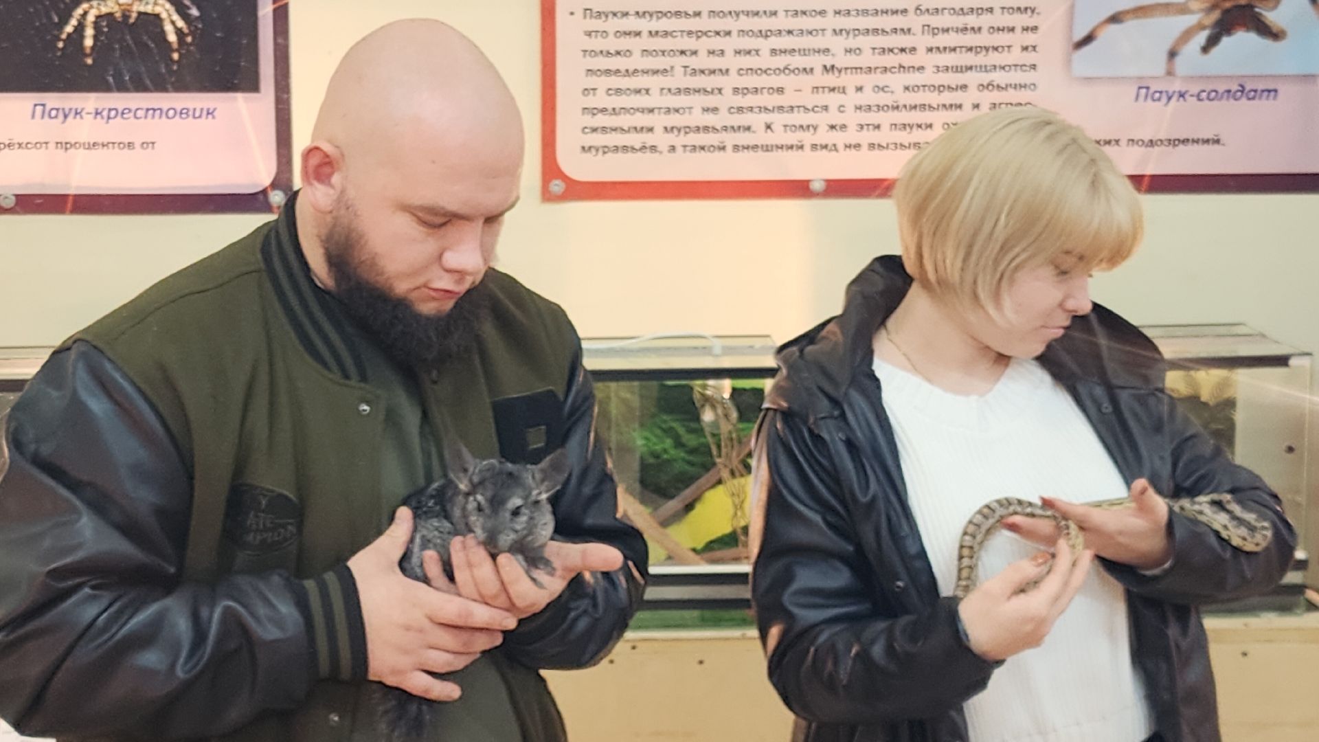 Звенигород, Общество, Выставка пауков и рептилий, вертикалка, вертикальное видео,