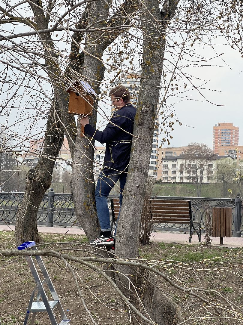 Химки, Эко-Берег, экология, скворечник