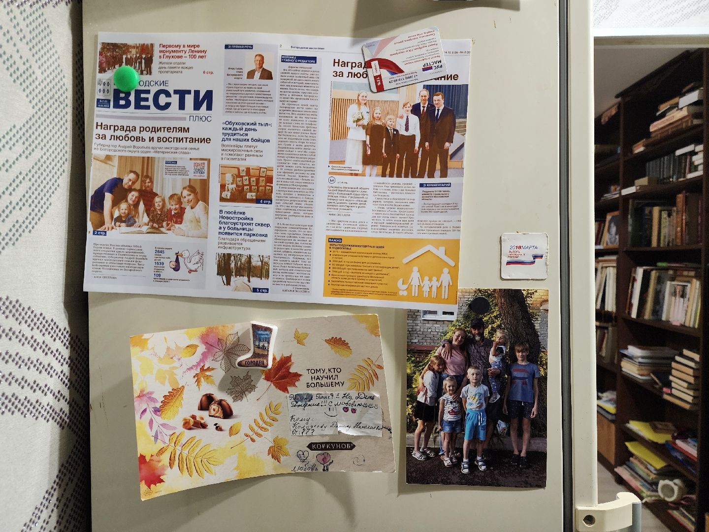 многодетная мама, жители, общество, ногинск, 5 детей, большая семья, год семьи, день матери, вертикалки