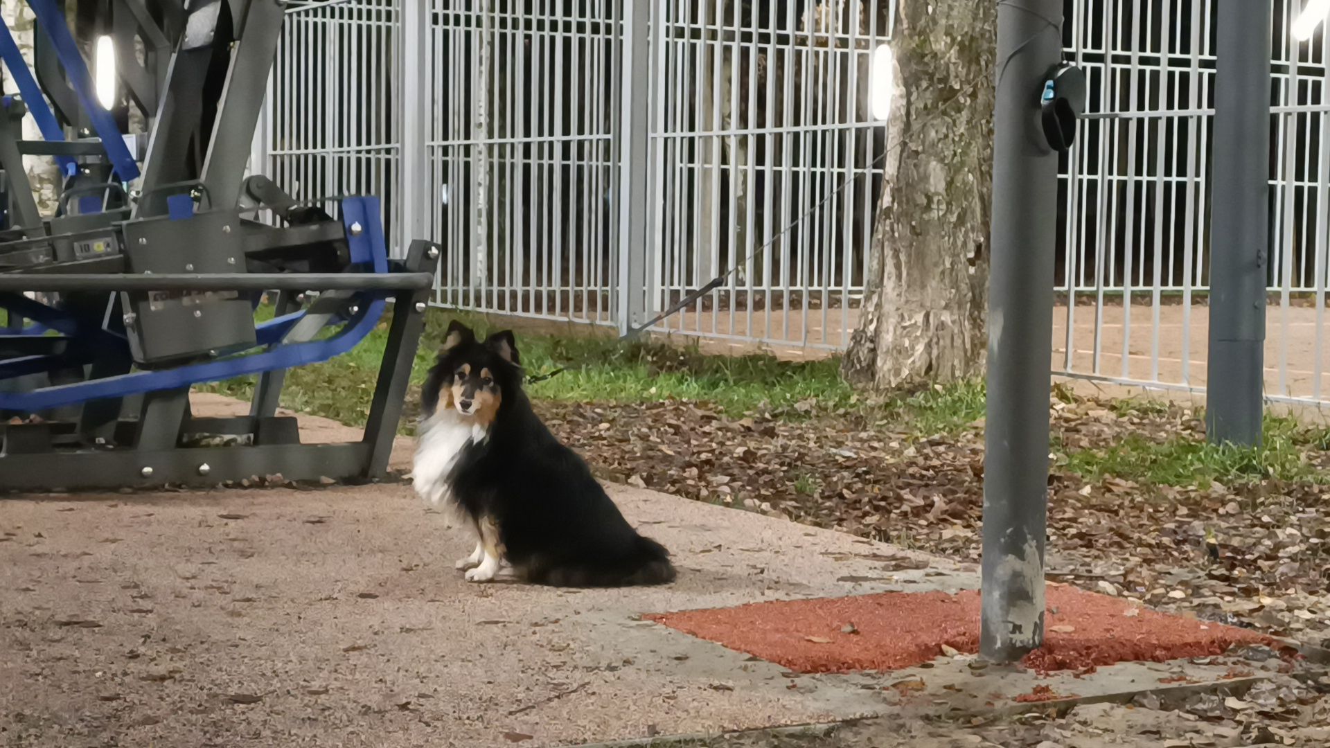 горы, горный туризм, лобня, физическая активность,