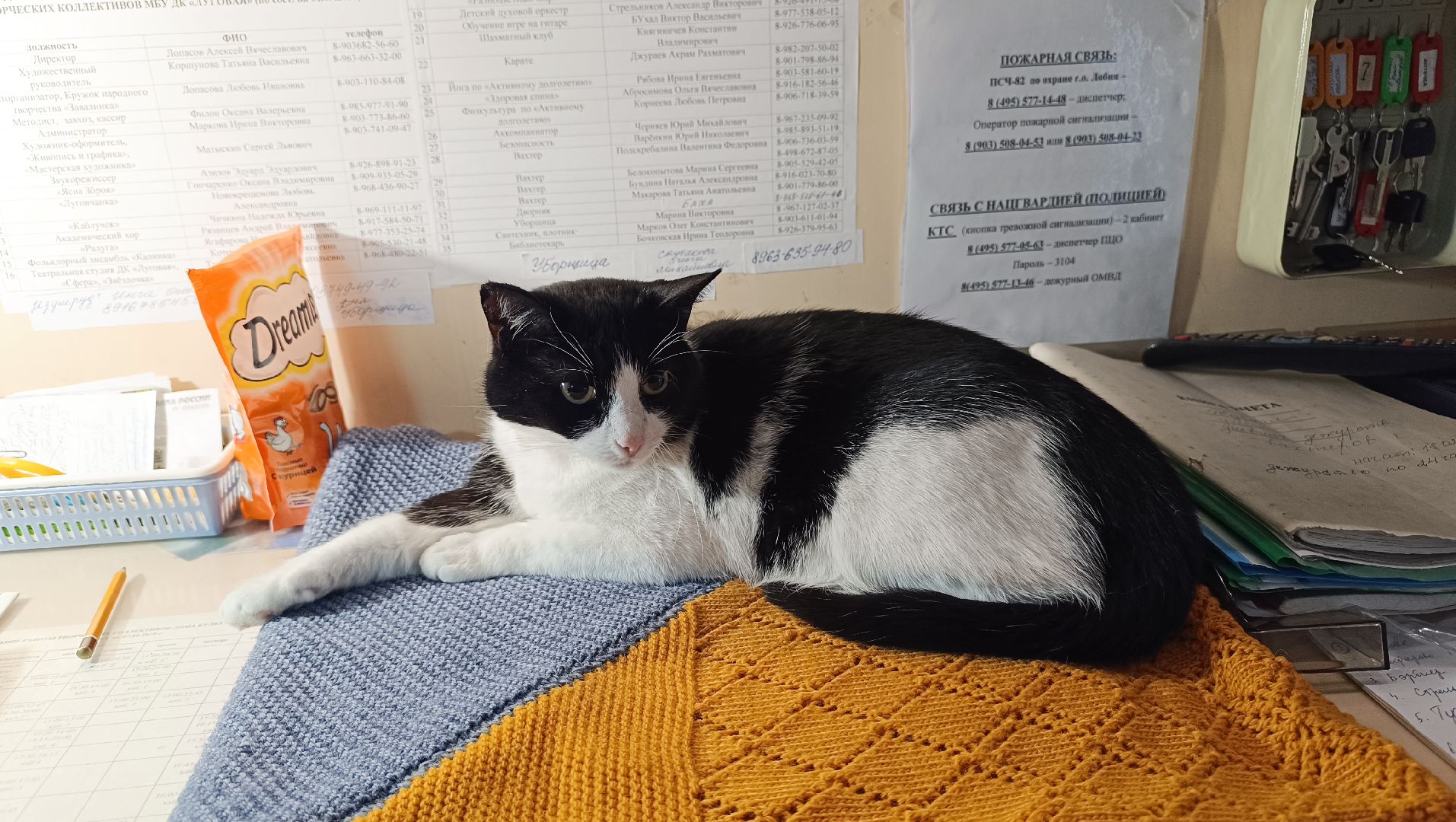 масте-класс, лобня, открытка, день матери,