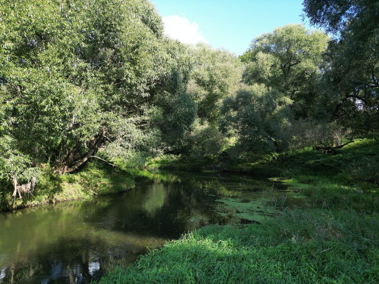 видео с коптера, история, гэс, волоколамск, ярополец,