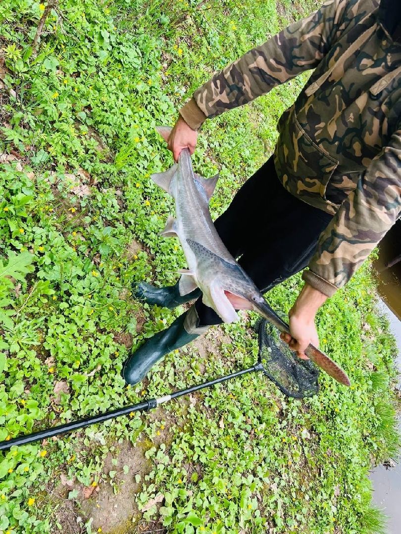 серпухов, подмосковье, рыбалка, сьяново-2, веслонос,