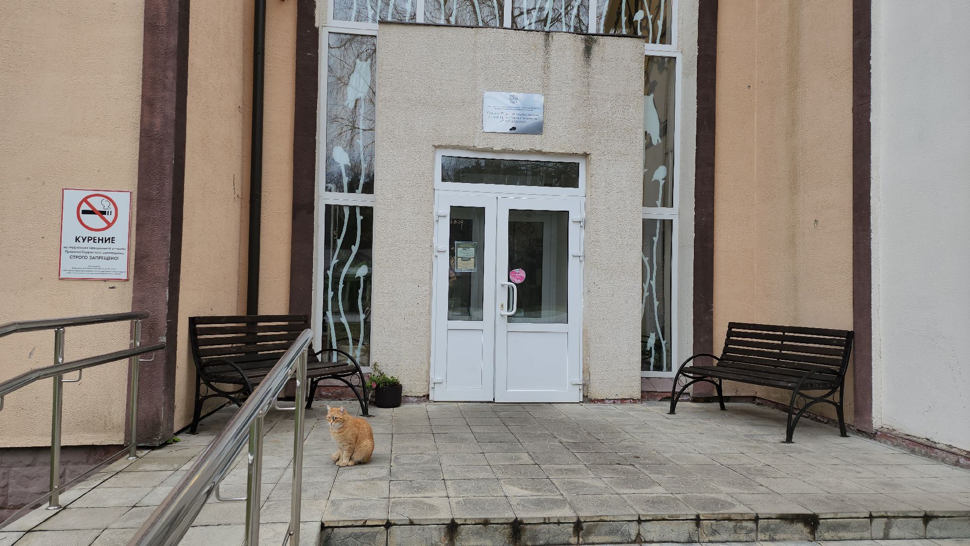 серпухов, подмосковье, зубры, приокско-террасный заповедник, 13 зубров,