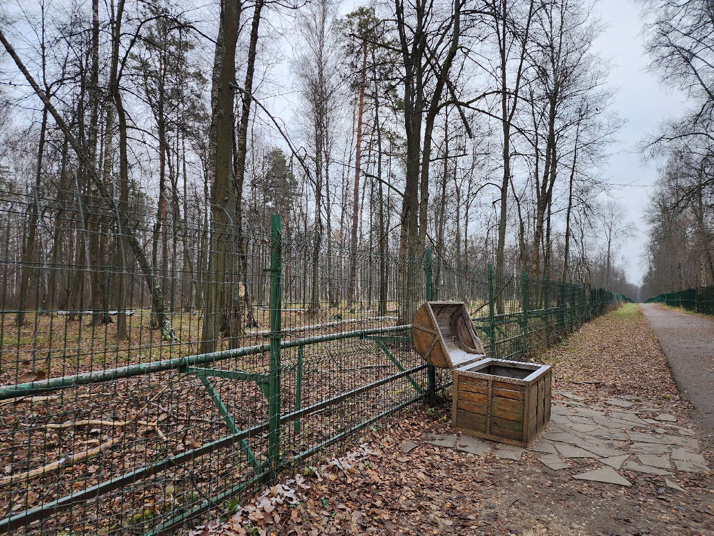 серпухов, подмосковье, зубры, приокско-террасный заповедник, 13 зубров,