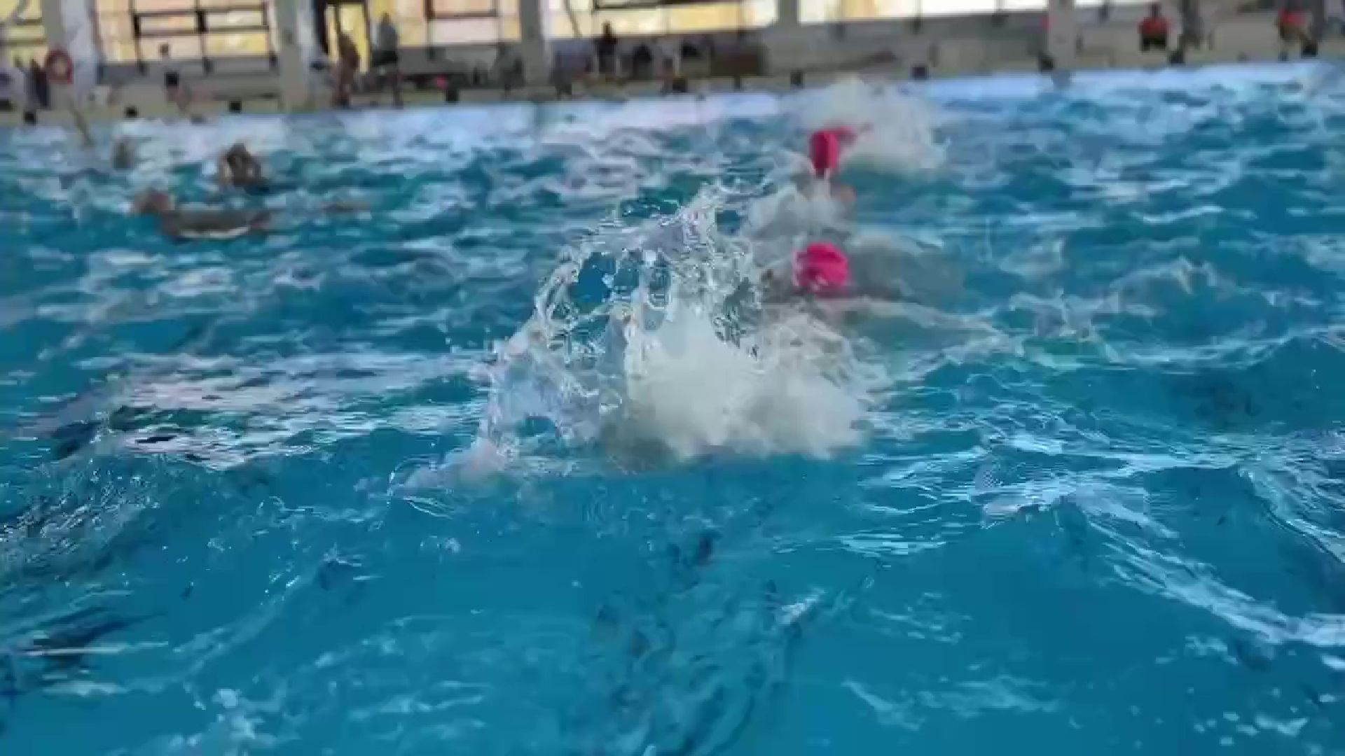 Реутов, вертикалки, спорт, плавание, победа, синхронное плавание,