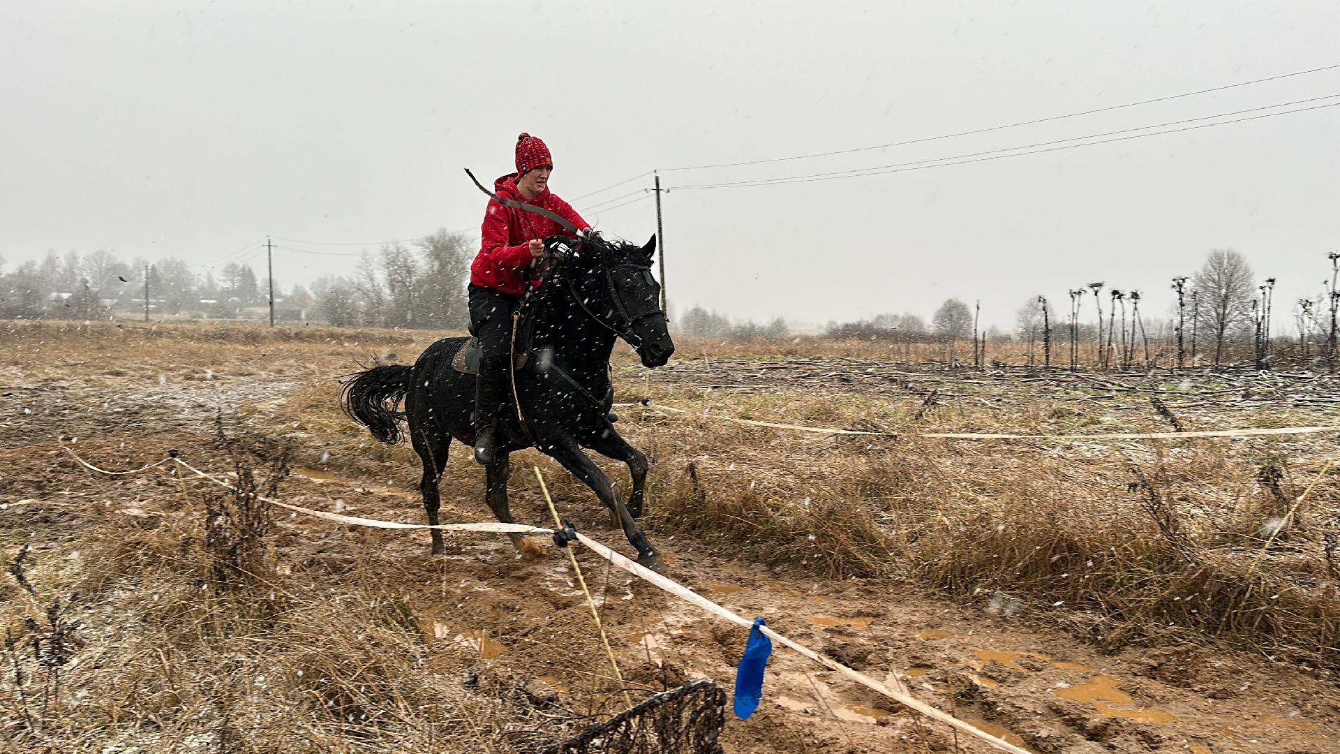 шаховская, спорт, кони, конная стрельба из лука, лошади, вертикалки,