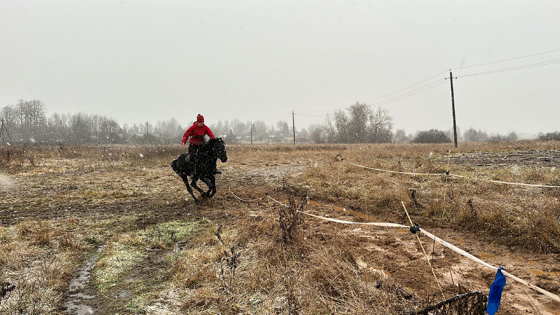 шаховская, спорт, кони, конная стрельба из лука, лошади, вертикалки,