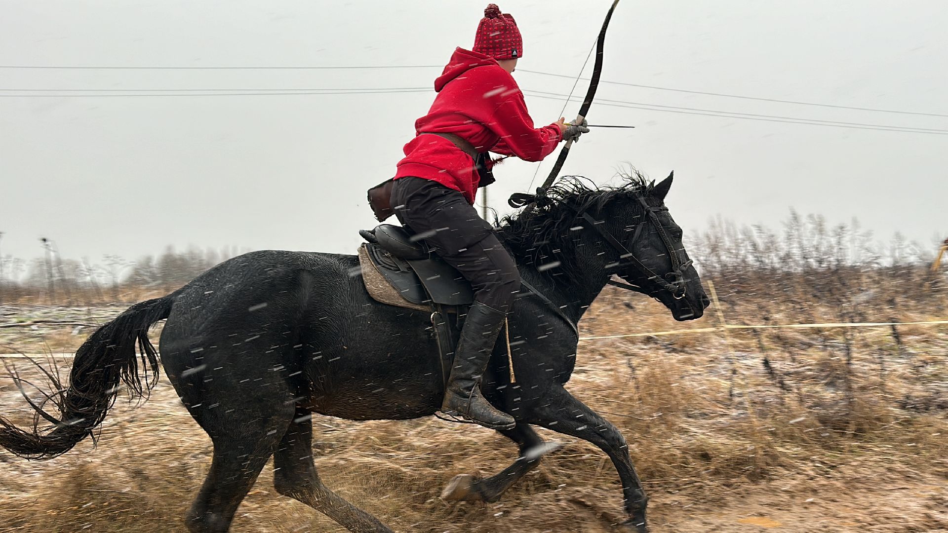 шаховская, спорт, кони, конная стрельба из лука, лошади, вертикалки,
