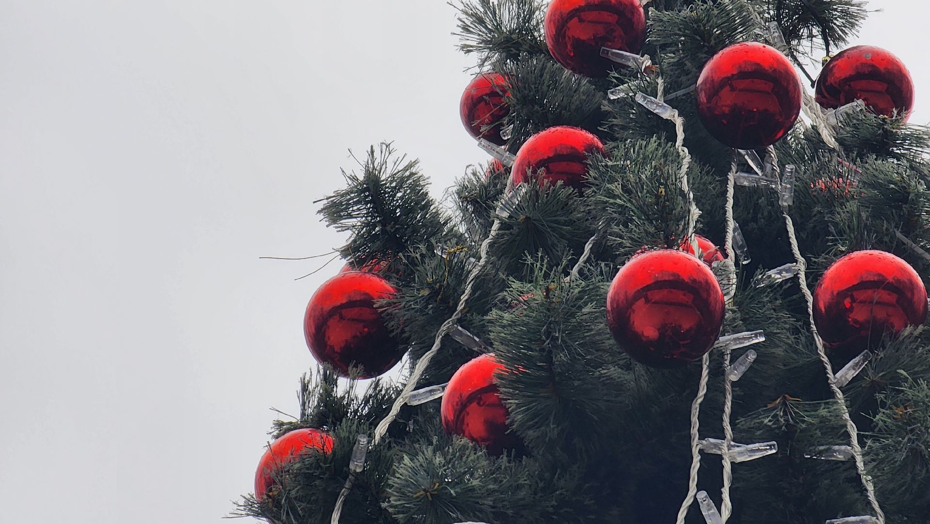 Солнечногорск, вертикалки, новый год, парк Солнечногорска, елка,