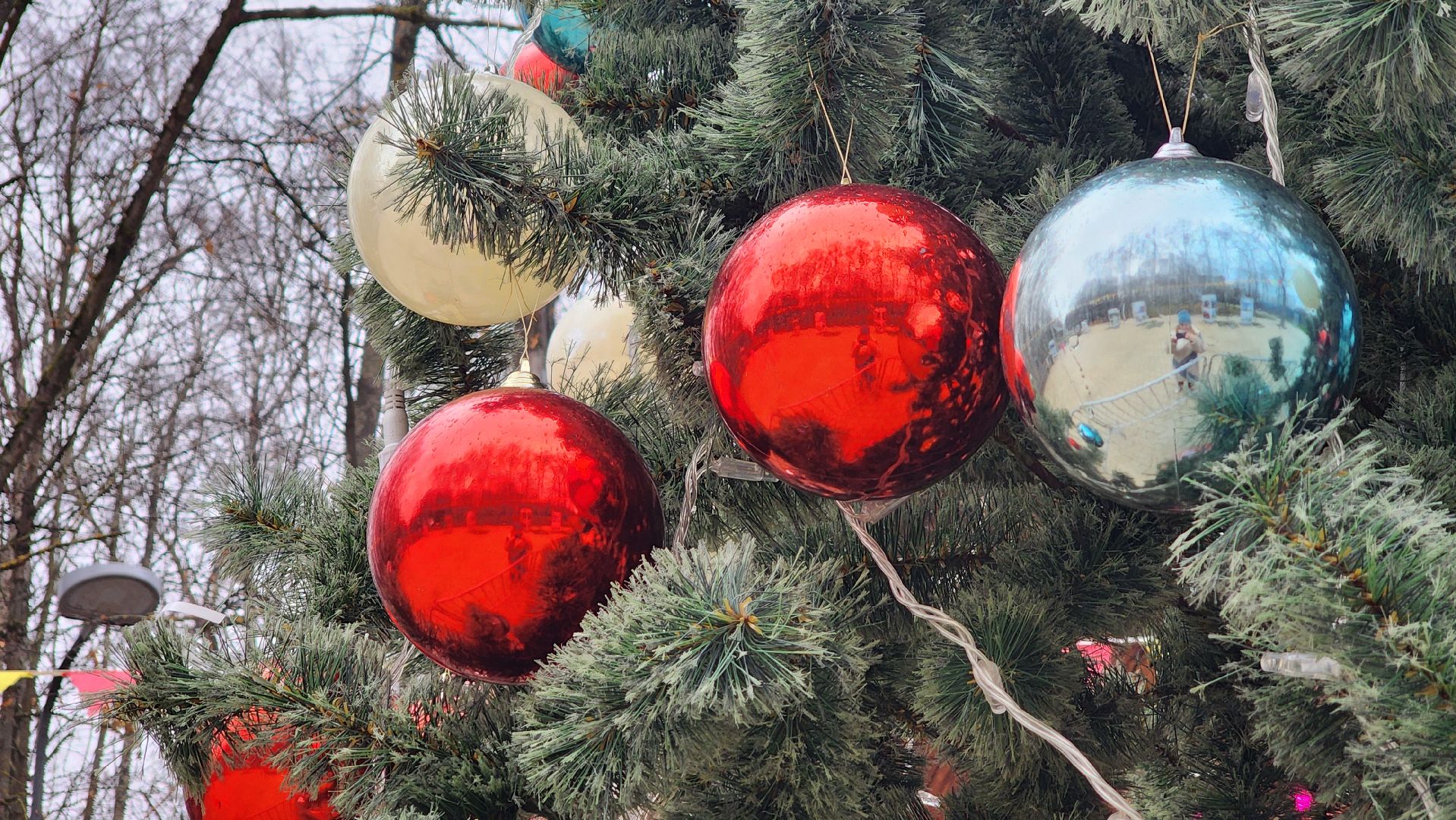 Солнечногорск, вертикалки, новый год, парк Солнечногорска, елка,