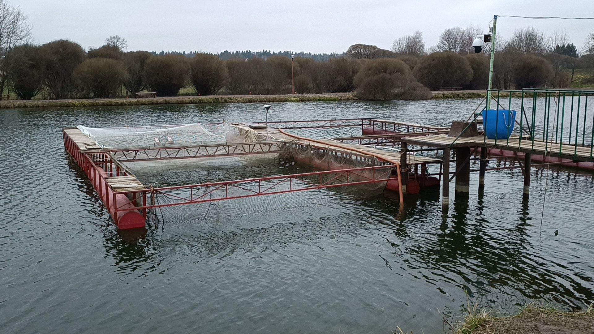 рыбалка, платная рыбалка, лобня,