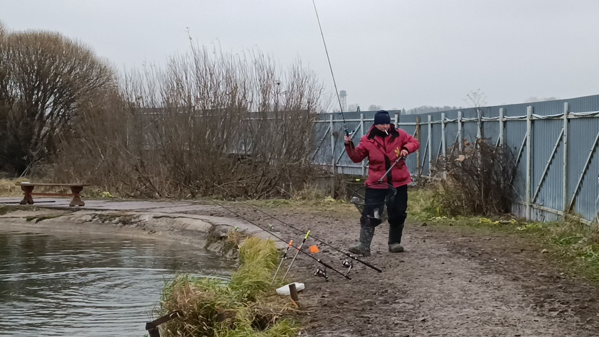 рыбалка, платная рыбалка, лобня,