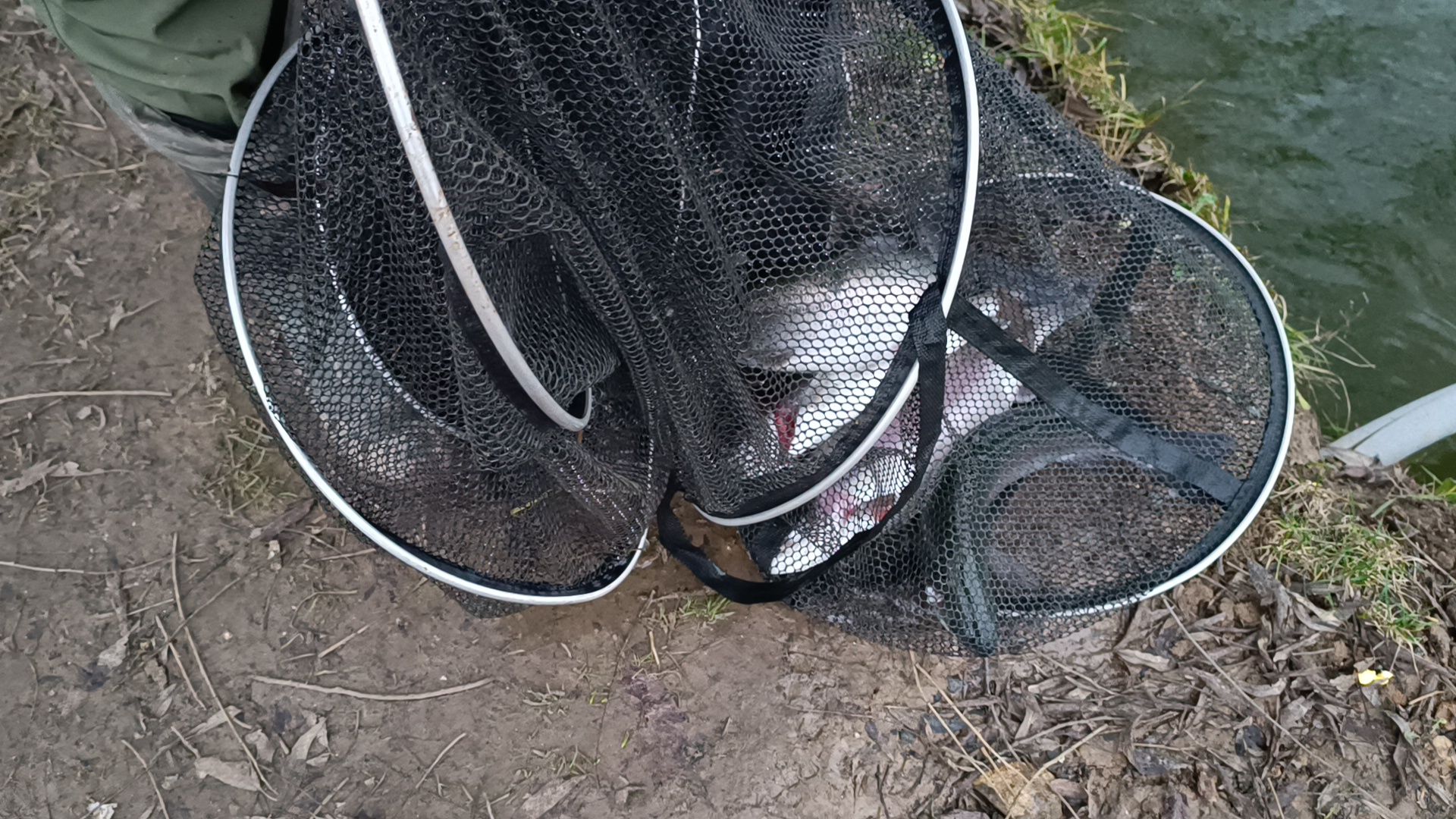 рыбалка, платная рыбалка, лобня,