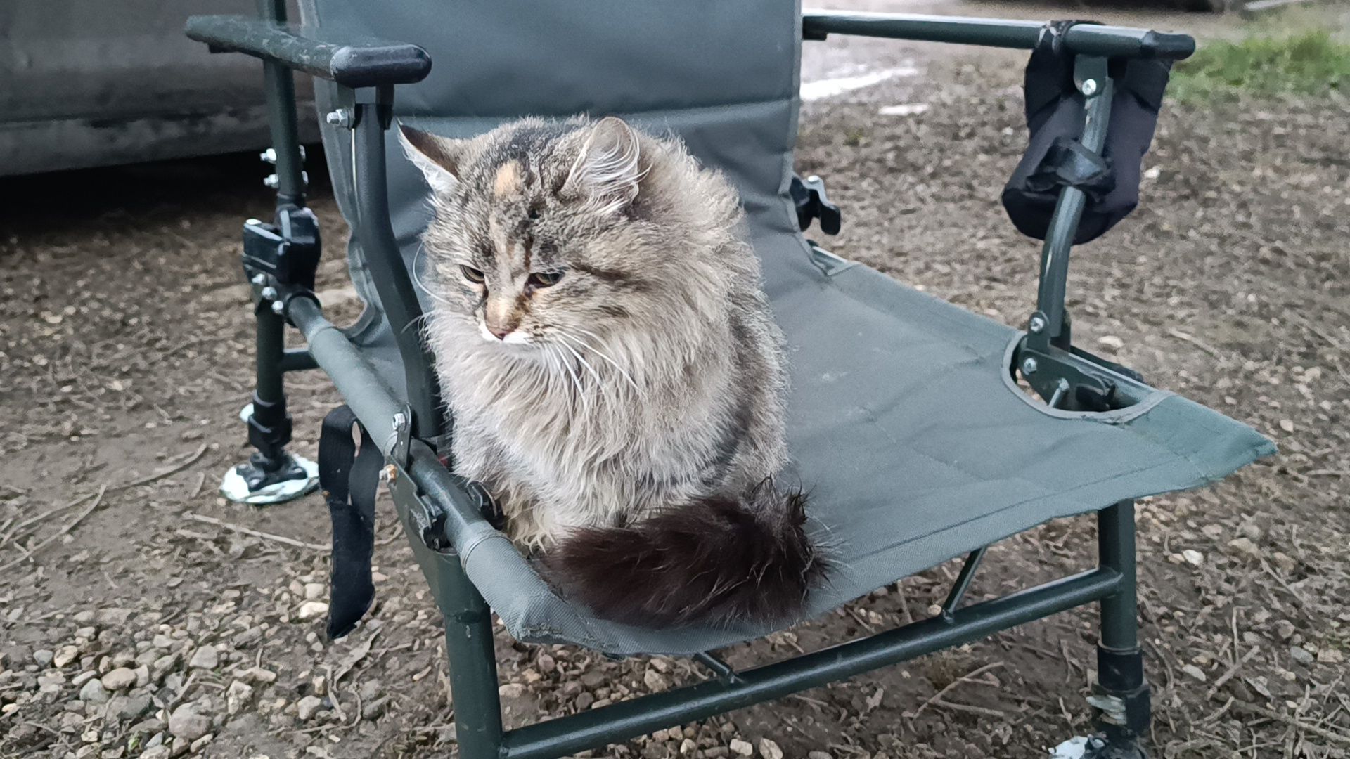 рыбалка, платная рыбалка, лобня,