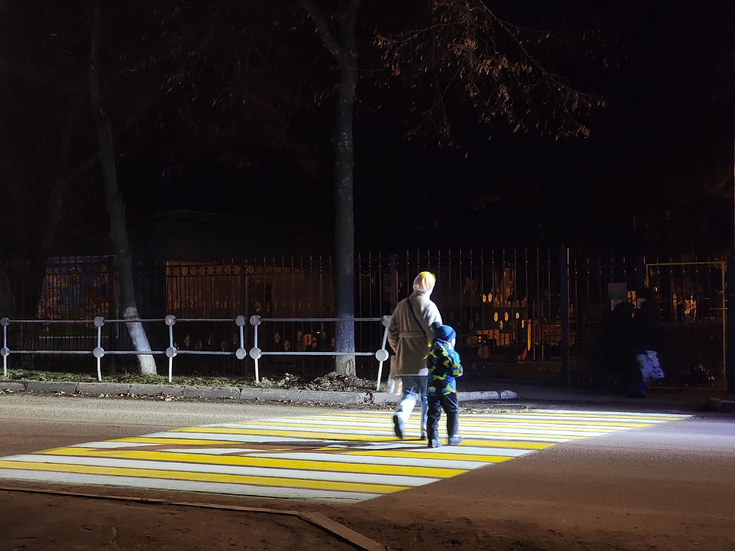 зарайск, дороги, проекционный пешеходный переход,