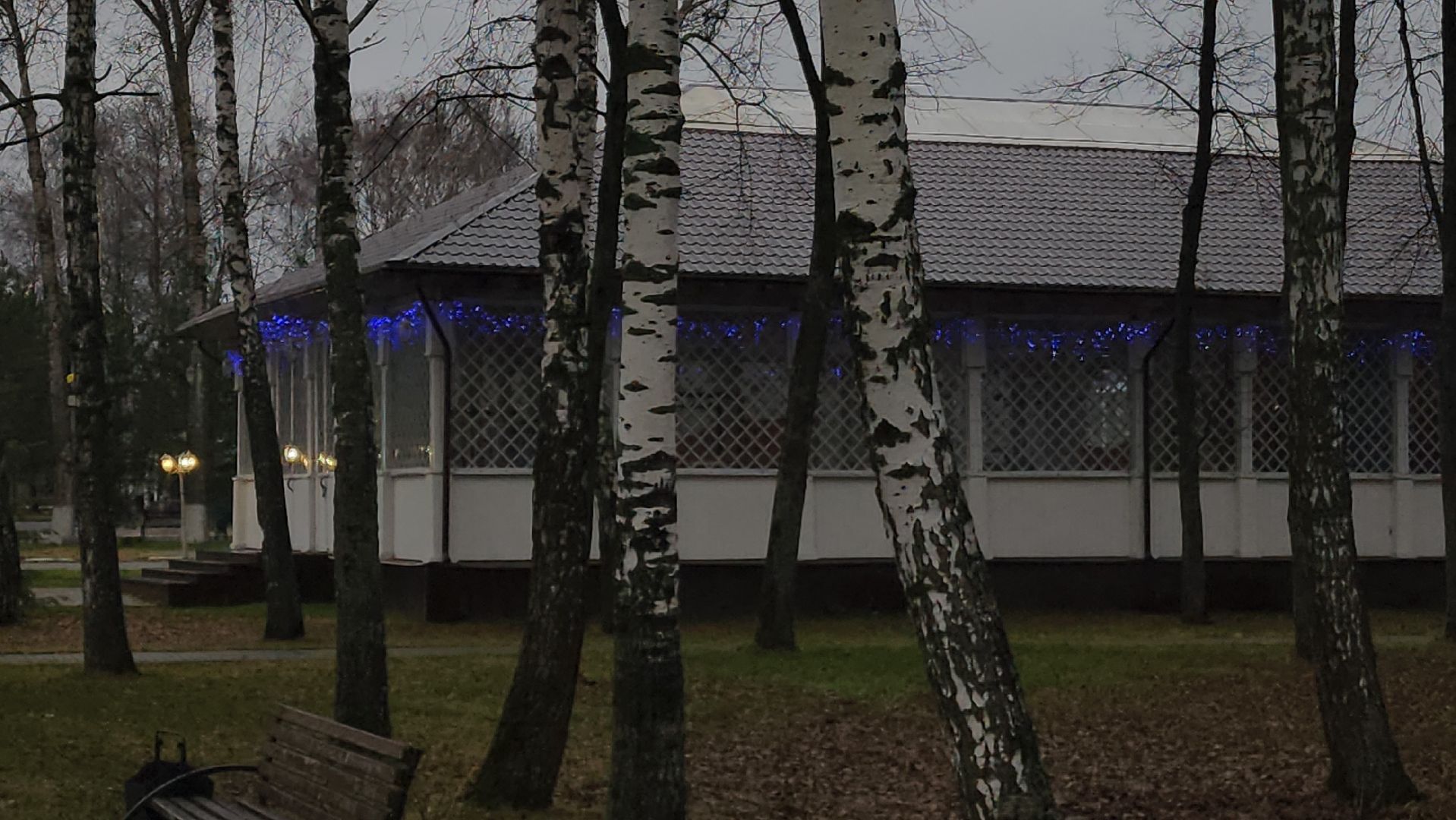 ступино, новый год, парки подмосковья, вертикалки,