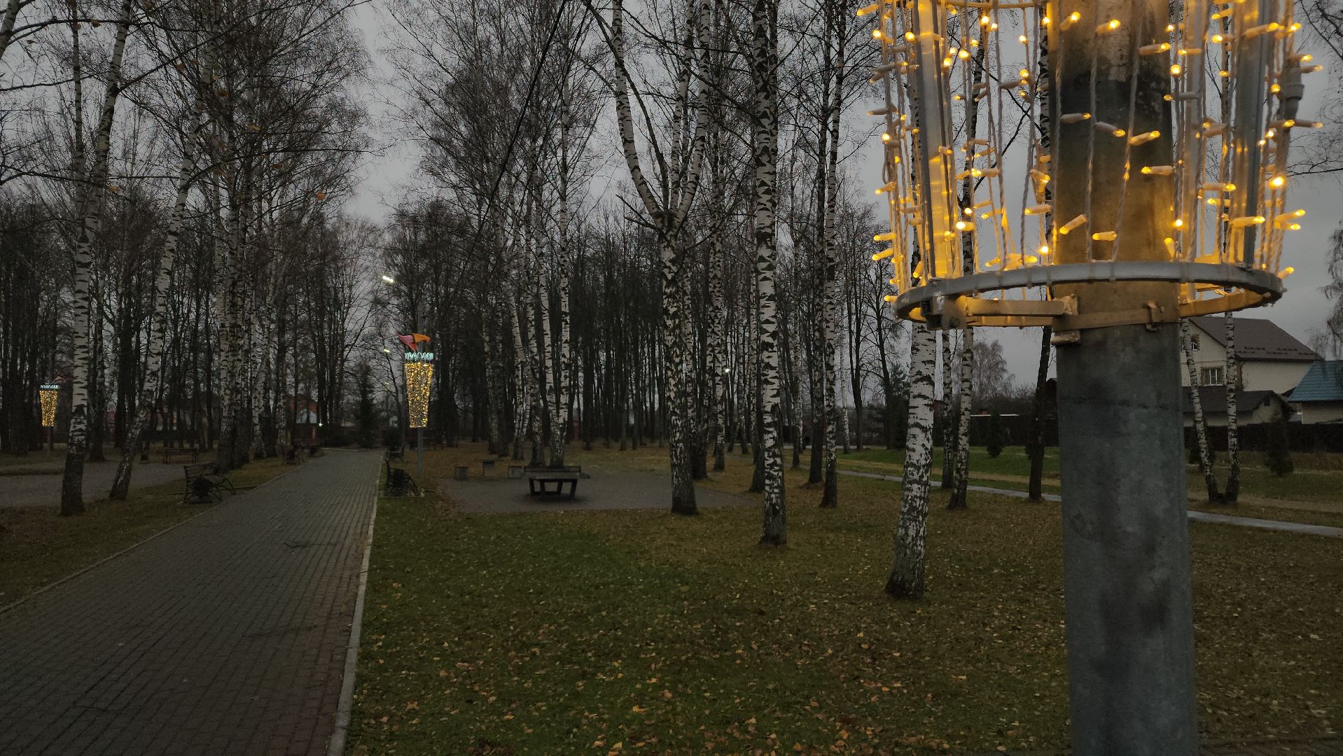 ступино, новый год, парки подмосковья, вертикалки,