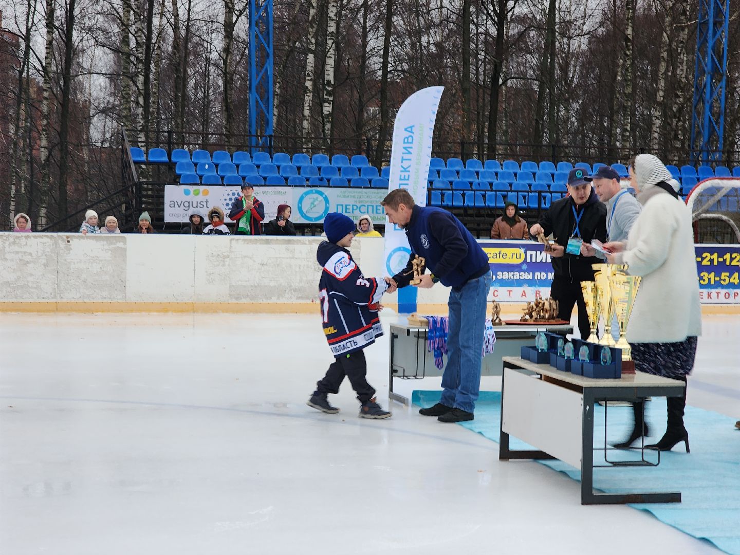 Черноголовка, Турнир по хоккею, Золотая шайба, вертикалки
