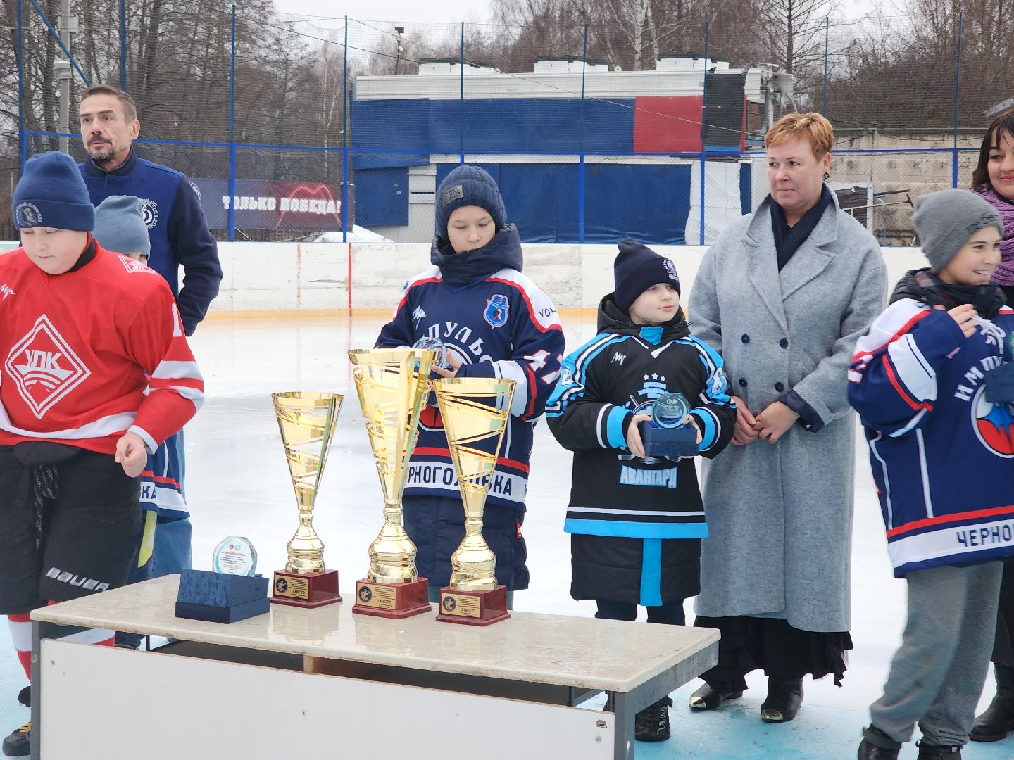Черноголовка, Турнир по хоккею, Золотая шайба, вертикалки
