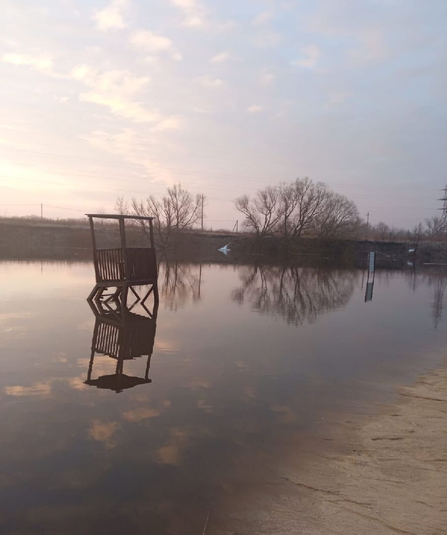 парк, Серебряные Пруды, благоустройство