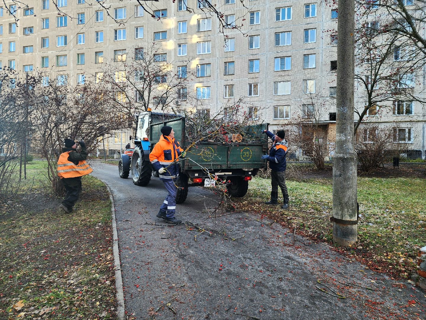 пущино, серпухов, ликвидация последствий непогоды,вертикалки,