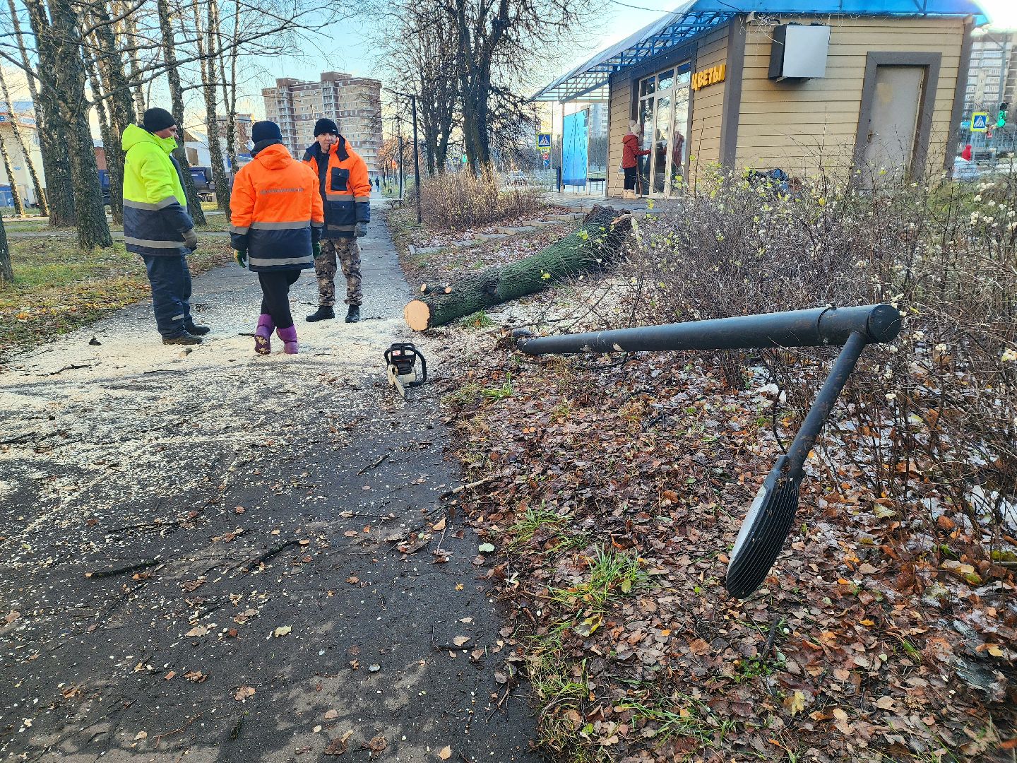 пущино, серпухов, ликвидация последствий непогоды,вертикалки,