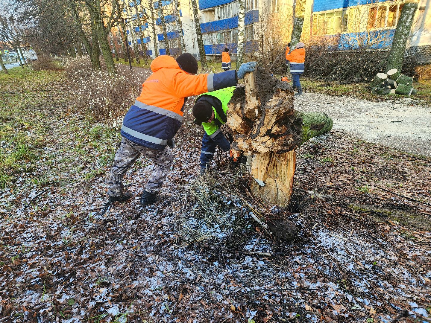 пущино, серпухов, ликвидация последствий непогоды,вертикалки,