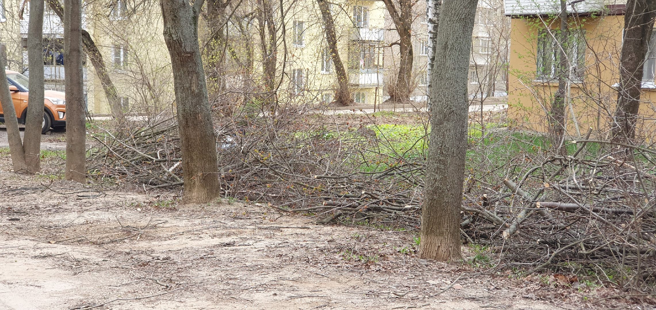 благоустройство, безопасность, обрезка крон, Дзержинский