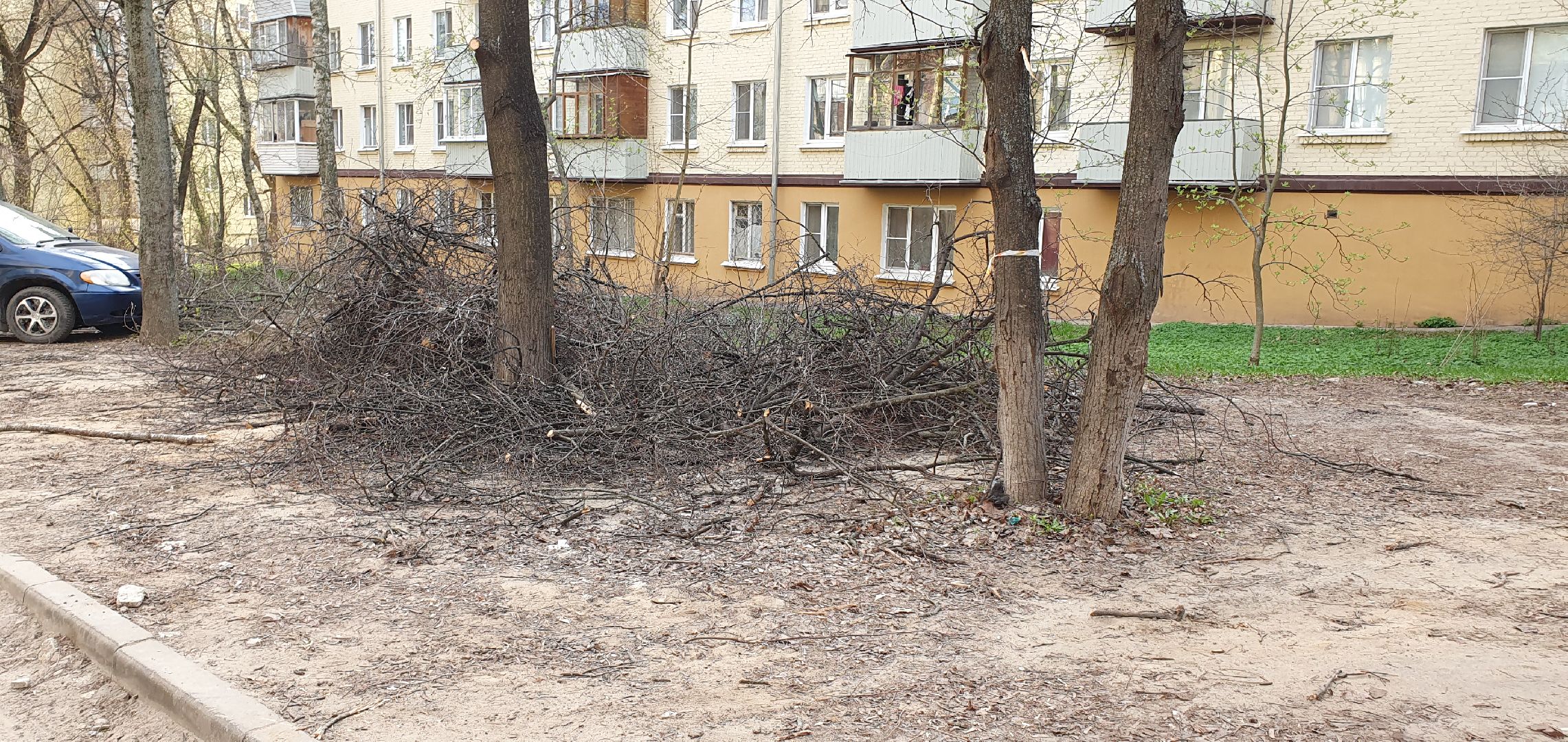 благоустройство, безопасность, обрезка крон, Дзержинский