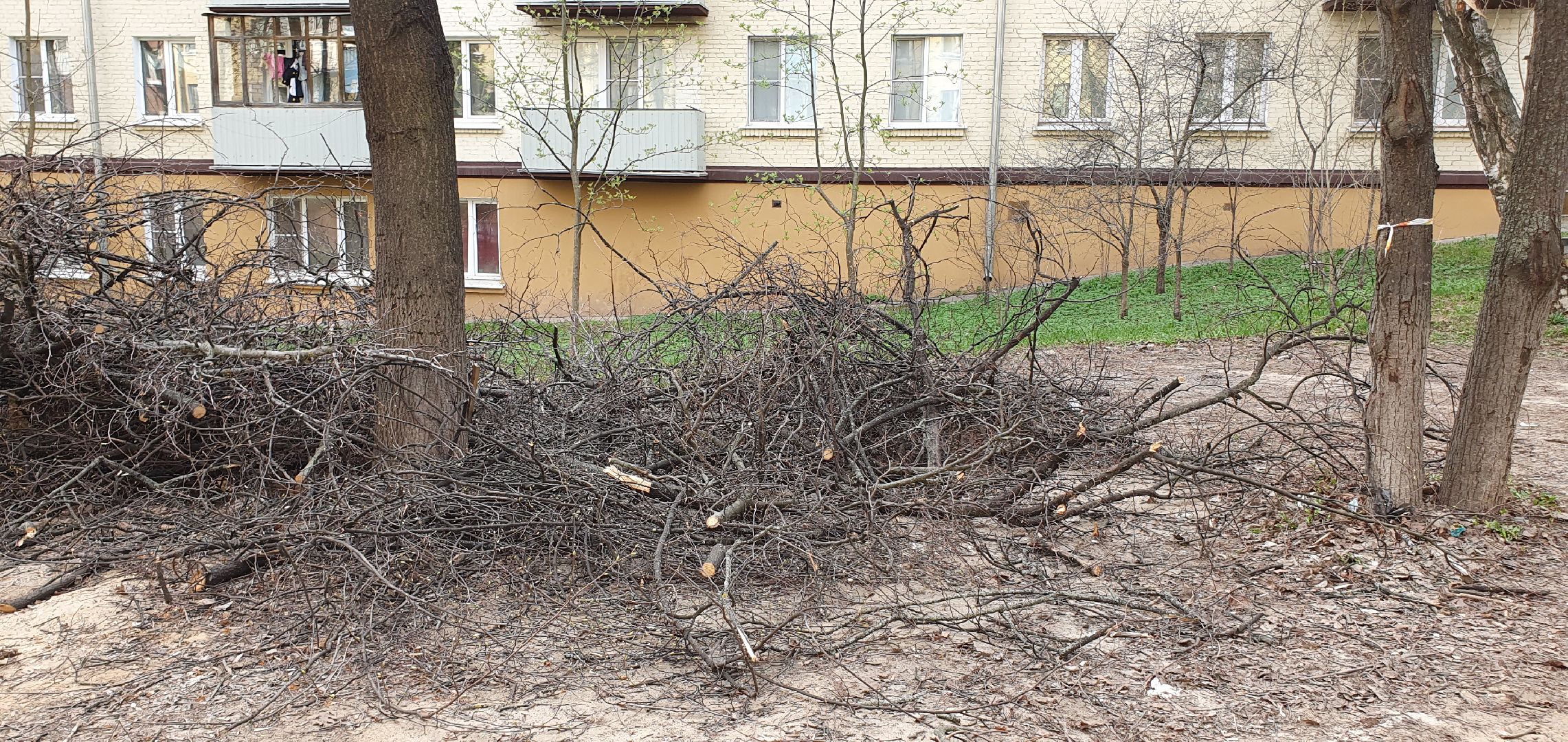 благоустройство, безопасность, обрезка крон, Дзержинский