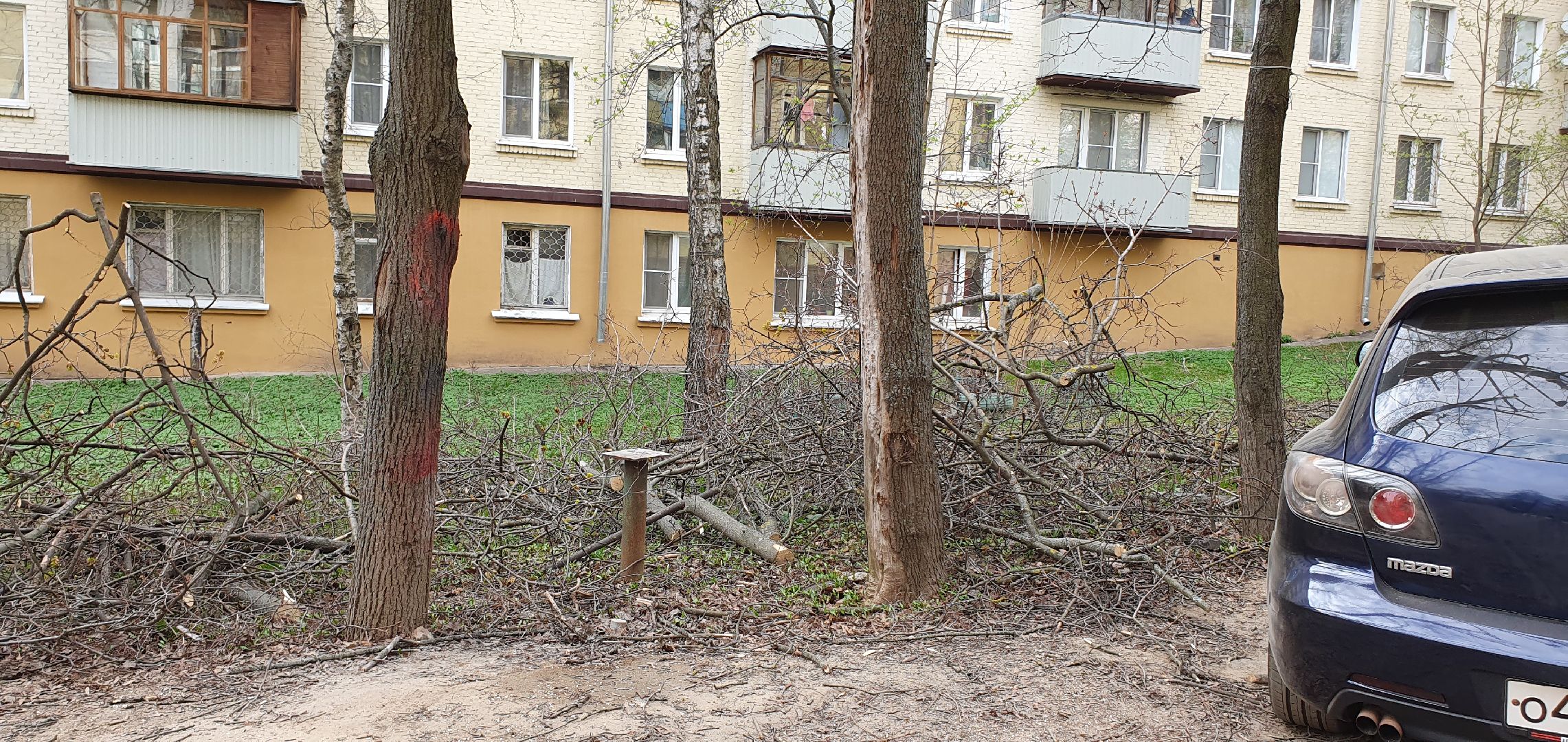 благоустройство, безопасность, обрезка крон, Дзержинский