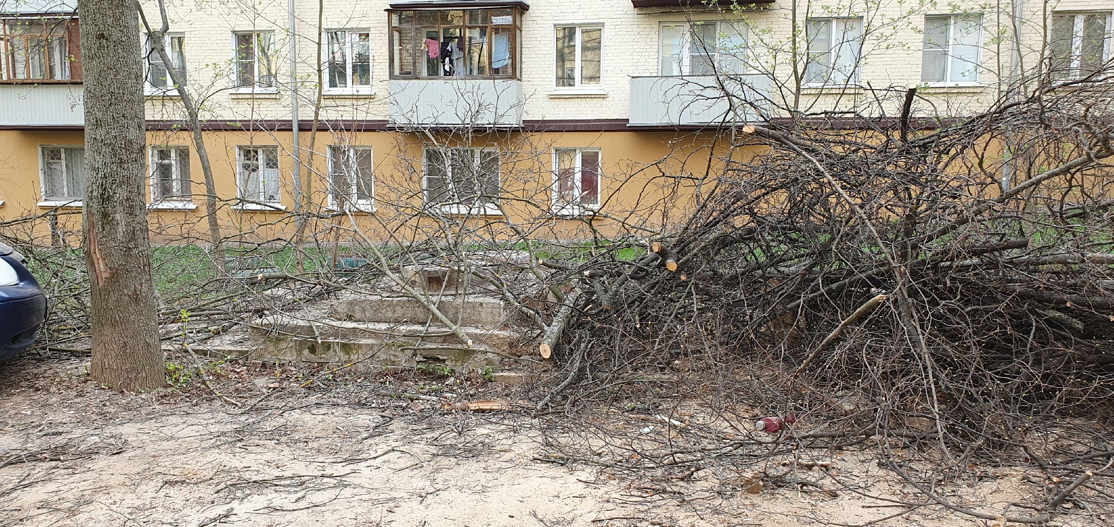благоустройство, безопасность, обрезка крон, Дзержинский