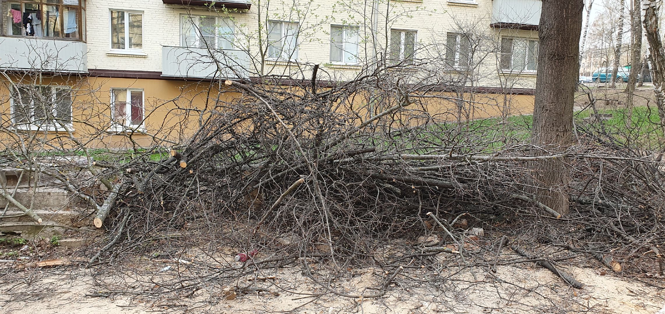 благоустройство, безопасность, обрезка крон, Дзержинский