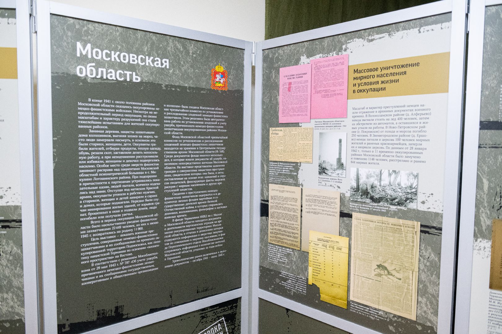 лыткарино, выставка, общество, вертикалка,