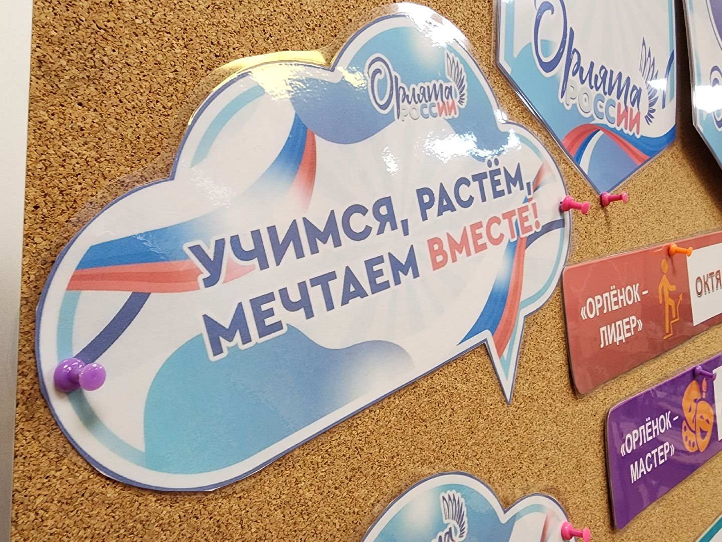 красногорск, многодетная мама, учитель, день матери,