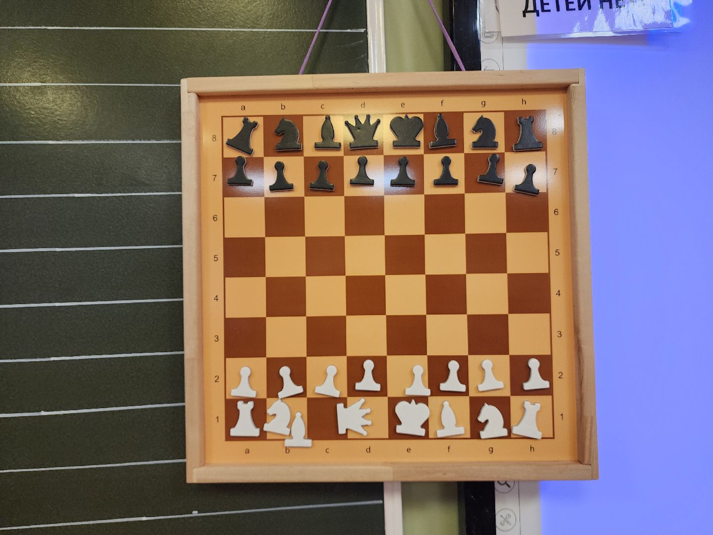 красногорск, многодетная мама, учитель, день матери,