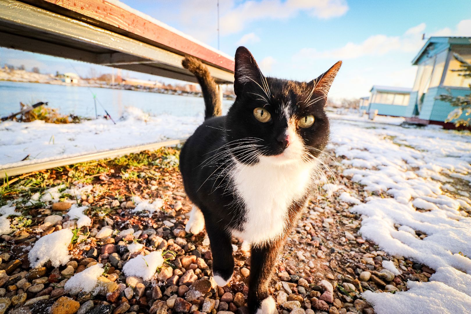 Клин, общество, рыбалка, туризм, Подмосковье, отдых на природе,