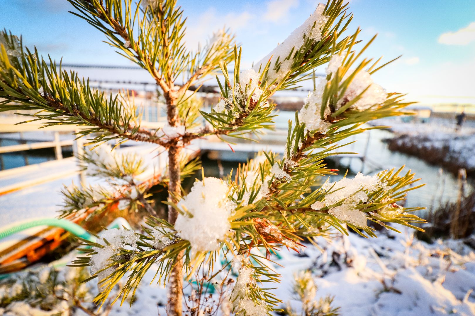 Клин, общество, рыбалка, туризм, Подмосковье, отдых на природе,